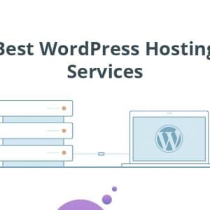 best wordpress hosting for small business