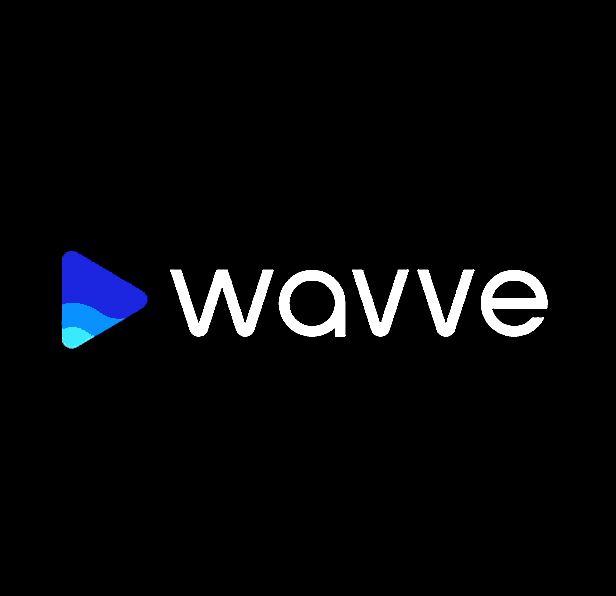 Wavve Review 2023 (Best Audio to Video Tool)