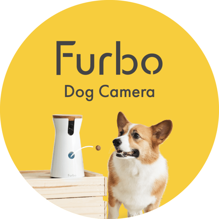 Furbo Dog Camera Review (2023)
