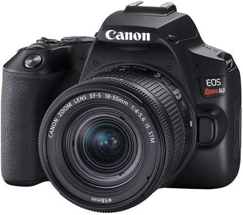 7 Best Canon Camera for Sports in 2023