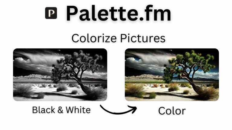 Pallete FM Review: Color Black & White Pictures with AI